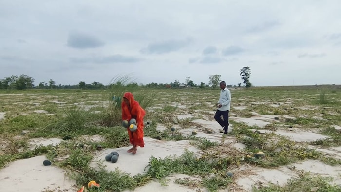 Kosi Riverbank Farming