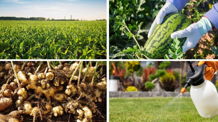 मई महीने में करें ये काम