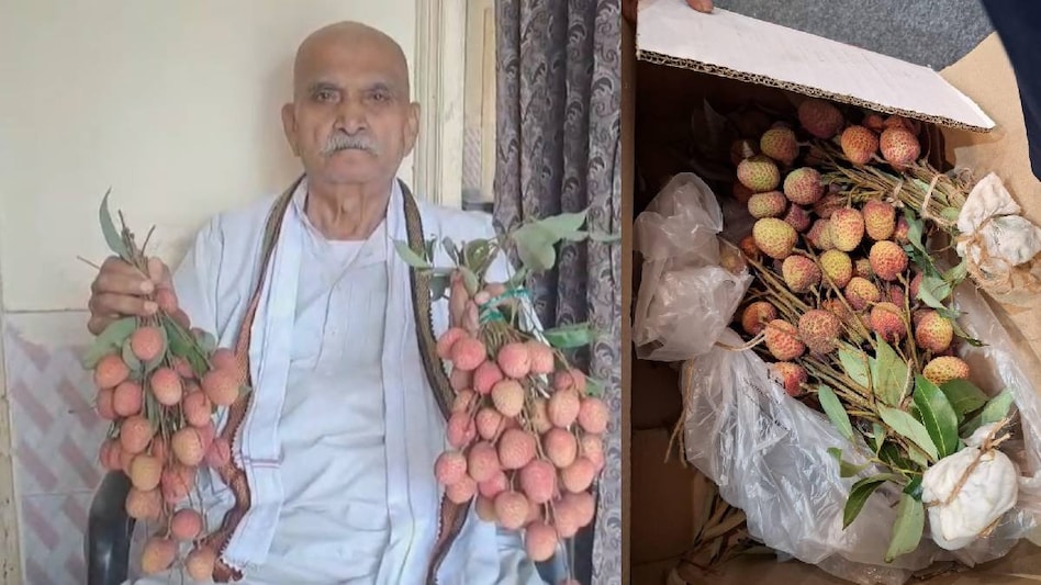 अब लीची रहेगी 5 दिन तक ताजा, बिहार के किसान ने खोजी नई 'ग्लूकोज तकनीक' अब लीची रहेगी 5 दिन तक ताजा, बिहार के किसान ने खोजी नई 'ग्लूकोज तकनीक'