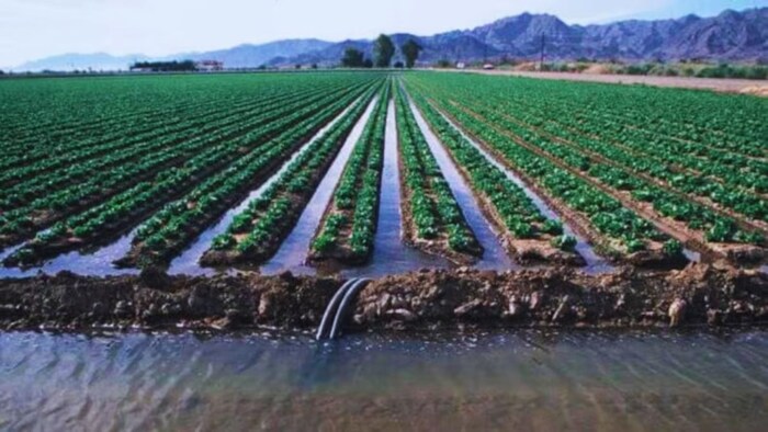 पानी से होगी 30 गावों में सिंचाई