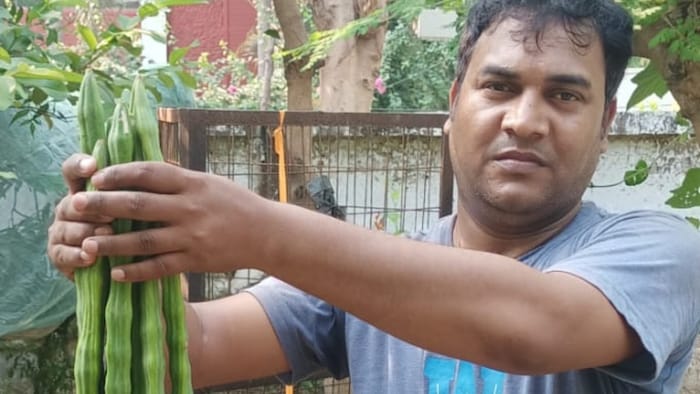 करीब 300 रोगों के खिलाफ सुरक्षा कवच है सहजन