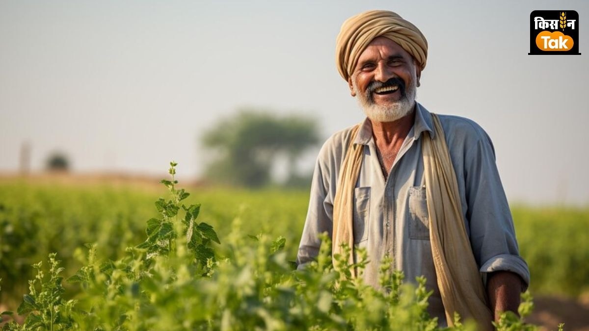 धान, श्रीअन्न,  तिलहन और गन्ना समेत 13 फसलों की बुवाई रकबा सामान्य से अधिक दर्ज किया गया है. 