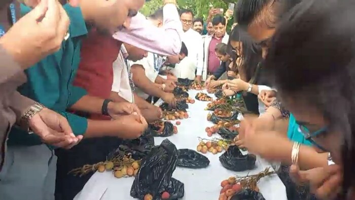 Bihar Litchi Competition
