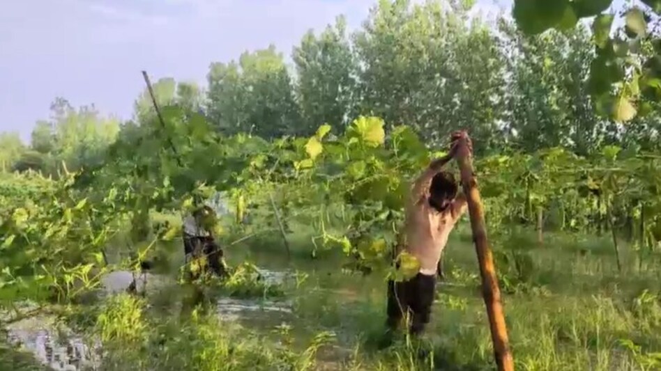 देर रात हुई मूसलाधार बारिश ने किसानों की उम्मीदों पर फेरा पानी, खेत में पानी भरने से कई फसलें बर्बाद देर रात हुई मूसलाधार बारिश ने किसानों की उम्मीदों पर फेरा पानी, खेत में पानी भरने से कई फसलें बर्बाद