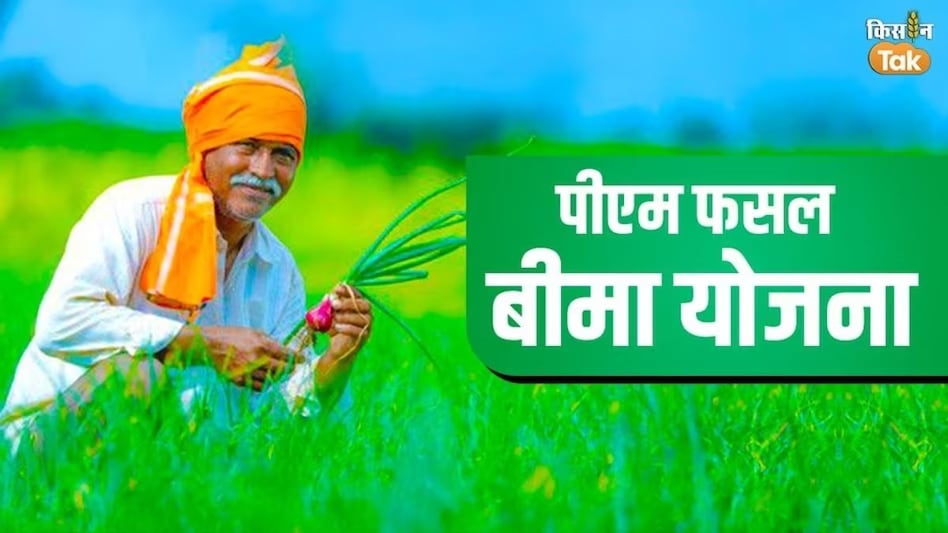 पीएम फसल बीमा योजना की A to Z जानकारी, बड़े काम की है योजना पीएम फसल बीमा योजना की A to Z जानकारी, बड़े काम की है योजना