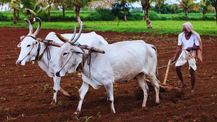 कृषि योजना