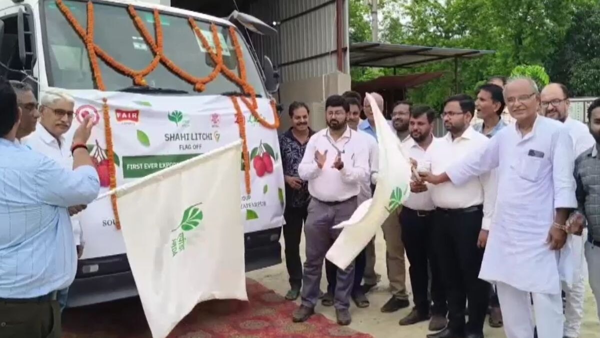 Shahi Litchi Cold chain Truck