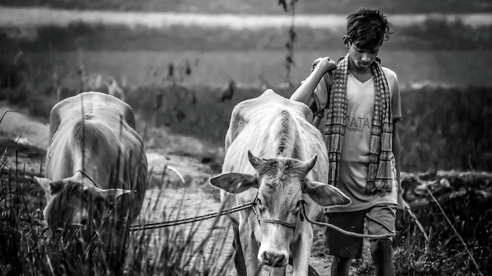 Karnataka farmer news