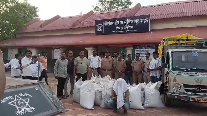 अकोला-अमरावती में 54 लाख के प्रतिबंधित एचटीबीटी कपास बीज जब्त, कार्रवाई से मचा हड़कंप अकोला-अमरावती में 54 लाख के प्रतिबंधित एचटीबीटी कपास बीज जब्त, कार्रवाई से मचा हड़कंप