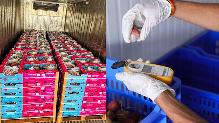 Bihar to Dubai Litchi Export