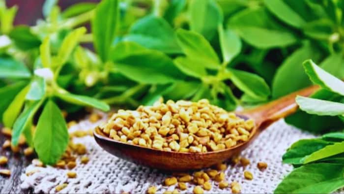 मेथी की खेती