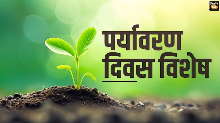 World Environment Day 2025