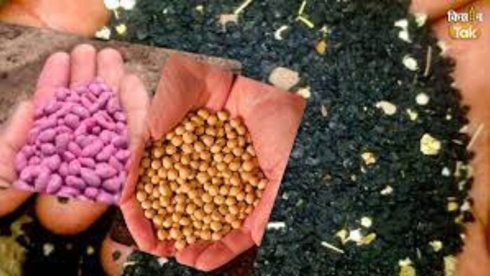 fake seed Identification