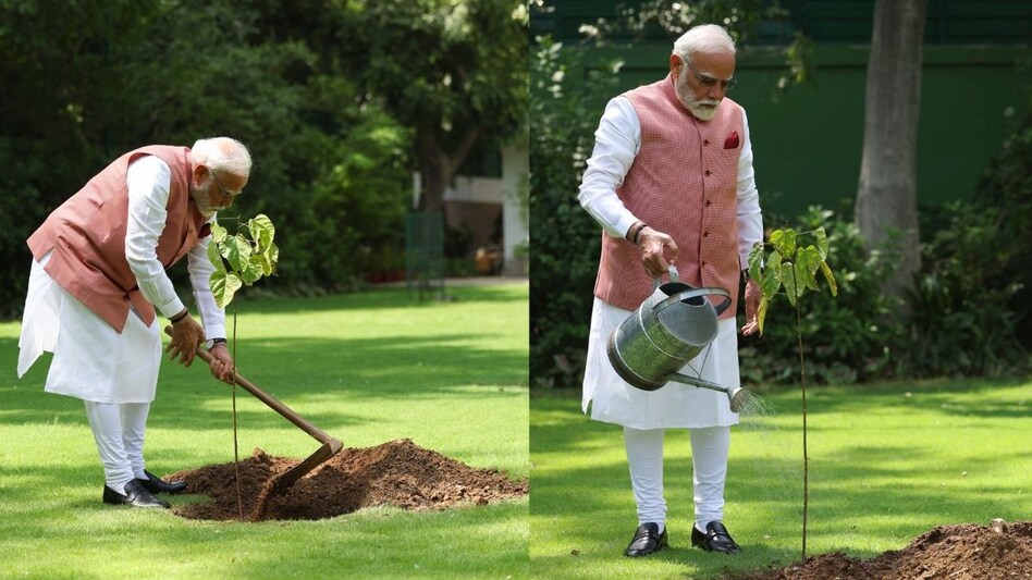 World Environment Day: पीएम मोदी ने लगाया सिंदूर का पौधा, कच्छ की वीरांगनाओं ने किया था भेंट World Environment Day: पीएम मोदी ने लगाया सिंदूर का पौधा, कच्छ की वीरांगनाओं ने किया था भेंट