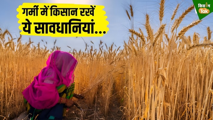 गर्मी में किसान रखें जरूरी सावधानियां