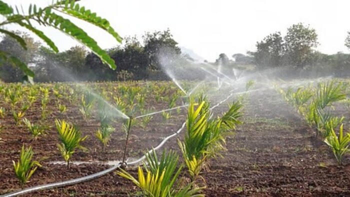 Micro irrigation technology