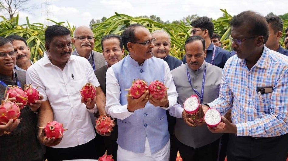 VKSA 2025: 'टमाटर-ड्रैगन फ्रूट की खेती में लाखों का मुनाफा', चौहान ने सफल किसानों से की बातचीत VKSA 2025: 'टमाटर-ड्रैगन फ्रूट की खेती में लाखों का मुनाफा', चौहान ने सफल किसानों से की बातचीत