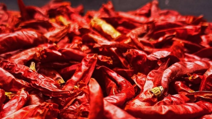 Chilli processing plant