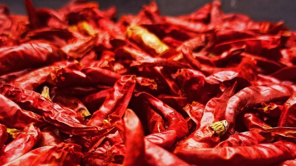 Chilli Plant: पंजाब के अबोहर में शुरू होगा मिर्च प्रोसेसिंग प्लांट, किसानों की बढ़ेगी कमाई Chilli Plant: पंजाब के अबोहर में शुरू होगा मिर्च प्रोसेसिंग प्लांट, किसानों की बढ़ेगी कमाई