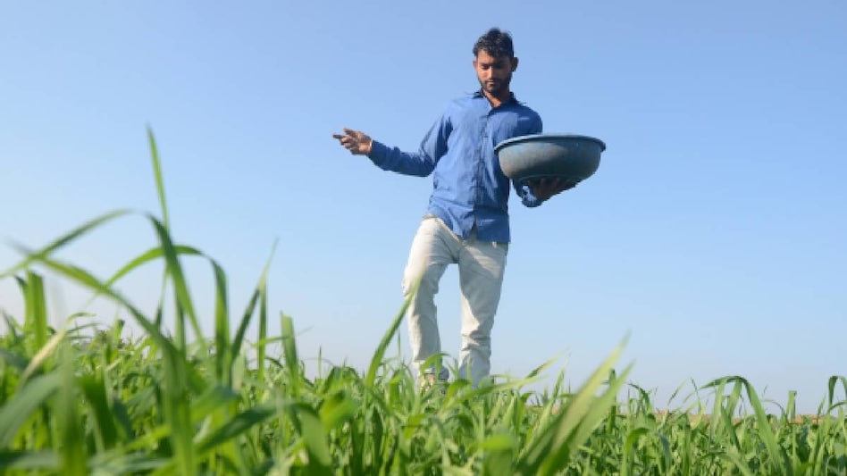 कपास और मूंग के लिए चमत्कारी खाद है  कृभको का 10-26-26 NPK, डीएपी की नहीं होगी जरूरत कपास और मूंग के लिए चमत्कारी खाद है  कृभको का 10-26-26 NPK, डीएपी की नहीं होगी जरूरत