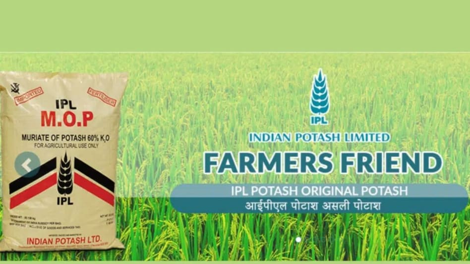 IPL ने दर्ज किया अब तक का सबसे अधिक लाभ, रिकॉर्ड मुनाफा और 200 फीसद डिविडेंड IPL ने दर्ज किया अब तक का सबसे अधिक लाभ, रिकॉर्ड मुनाफा और 200 फीसद डिविडेंड