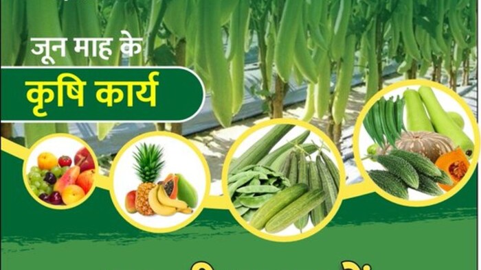 जून में क्या करें किसान