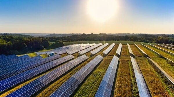 gayaji agrivoltaics project 