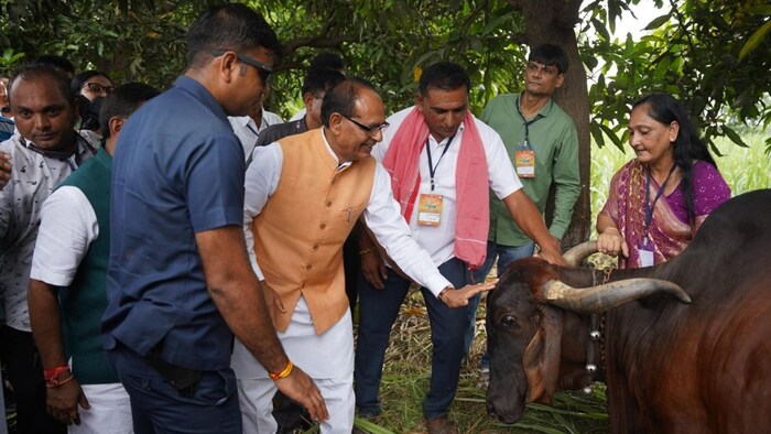 शिवराज सिंह चौहान