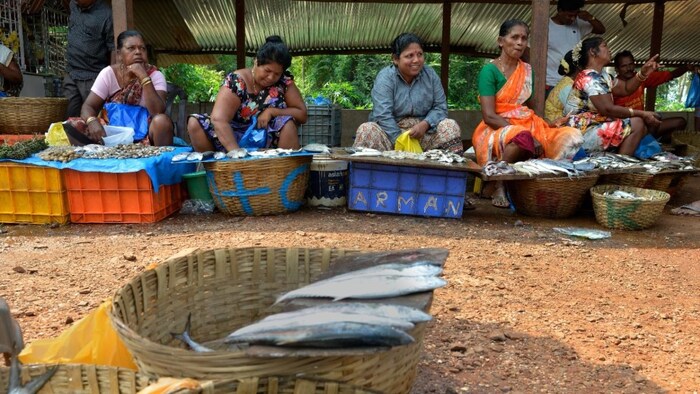 fish farming in Bihar