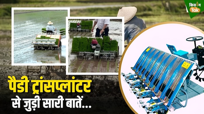पैडी ट्रांसप्लांटर मशीन