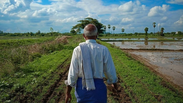 Rajasthan Farmers