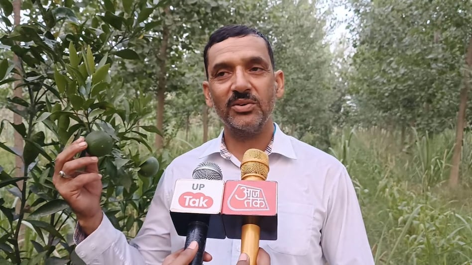 बच्चों की जिद से मिली प्रेरणा, किसान ने शुरू की मौसंबी की खेती बच्चों की जिद से मिली प्रेरणा, किसान ने शुरू की मौसंबी की खेती