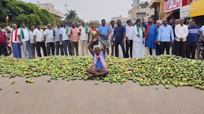 Mango growers association in Srinivaspura in Karnataka’s Kolar district protest price collapse, demand MSP.