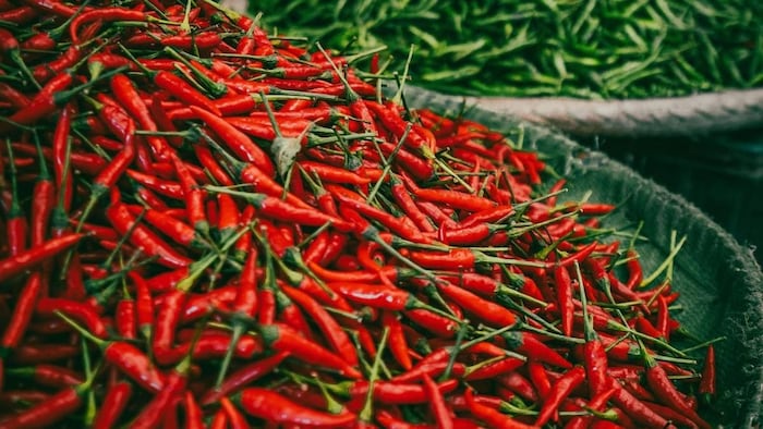 Andhra-Pradesh Chilli Seeds