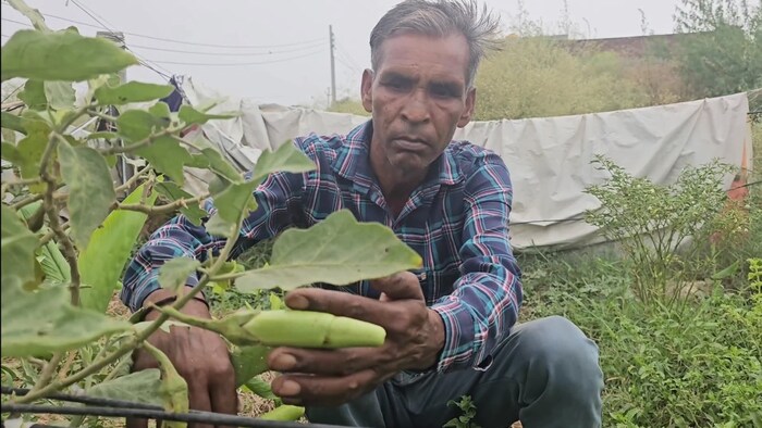 karnal farmer success story