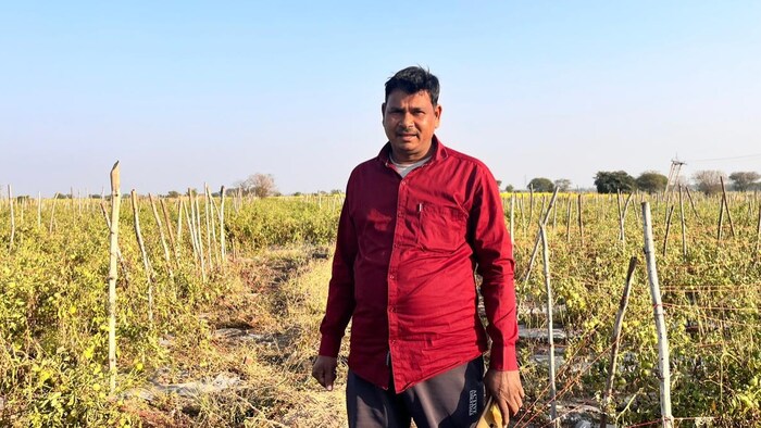 सीतापुर के मल्लपुर चौबे गांव के किसान इंद्रजीत मौर्य