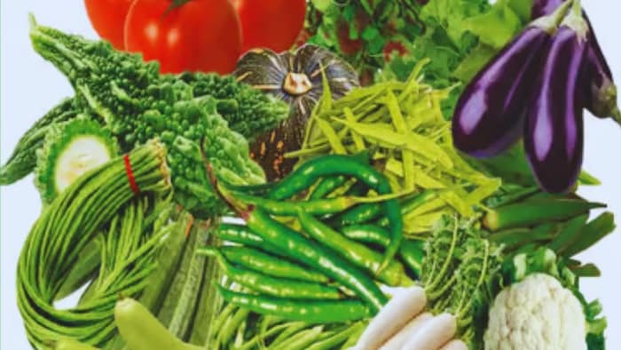 NSC vegetable Seeds kit