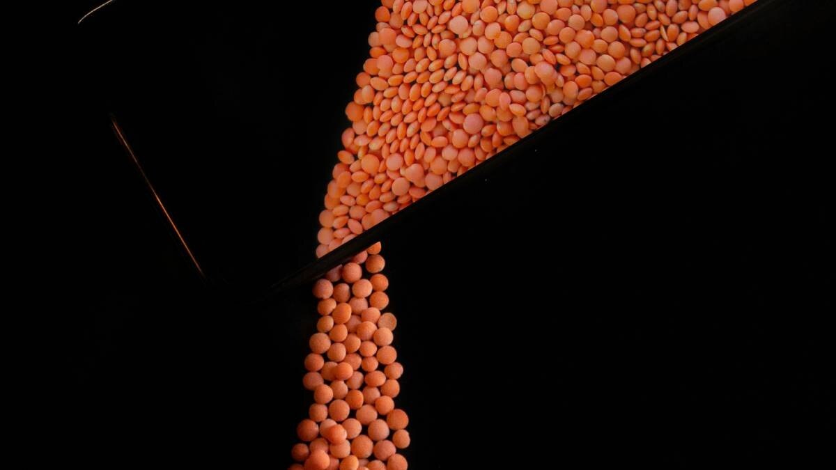 MSP on Pulses 