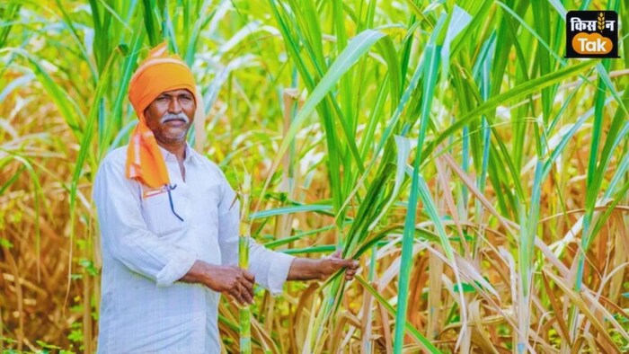 गन्ना किसानों के लिए बड़ा फैसला