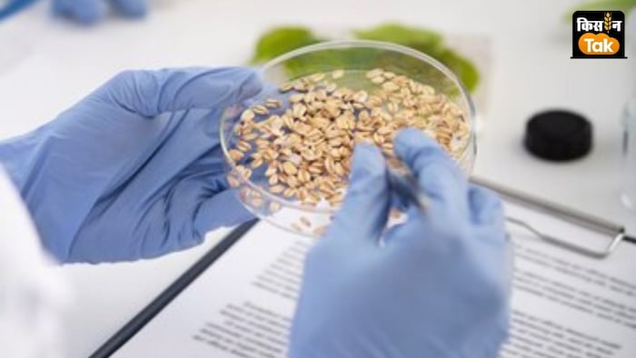 300 नमूने क्वीलिटी में फेल हो गए हैं और वे घटिया पाए गए हैं.