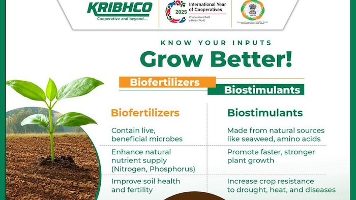 bio fertilizer