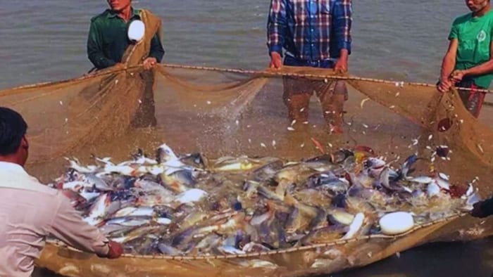 Farmers promoting fisheries