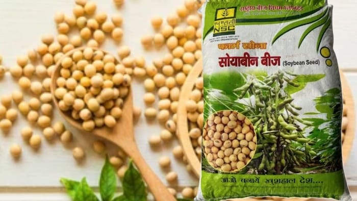 सोयाबीन की खेती