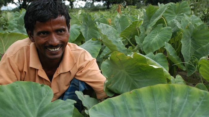 krishak kalyan mission