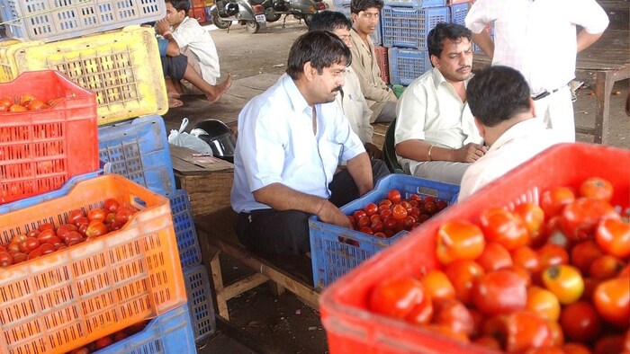 Tomato Price Hike