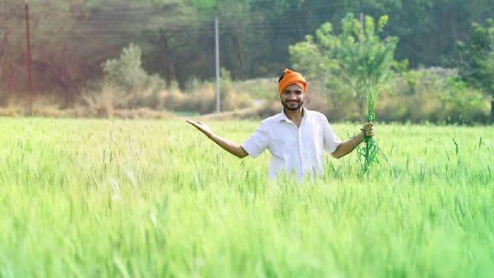 Tropical Agro Campaign