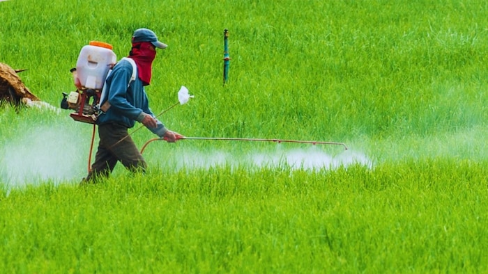 India's agrochemical exports rise