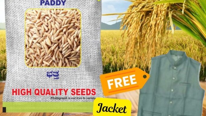 धान की खेती