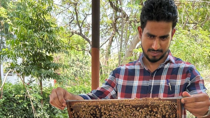 जकी दुबई में अच्छे पैकेज की नौकरी छोड़ शहद के क्षेत्र में स्टार्टअप शुरू किया हैं