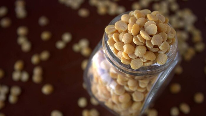 toor Dal Cultivation (1)